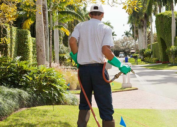 About Parker Ford PA Pest Control Pros